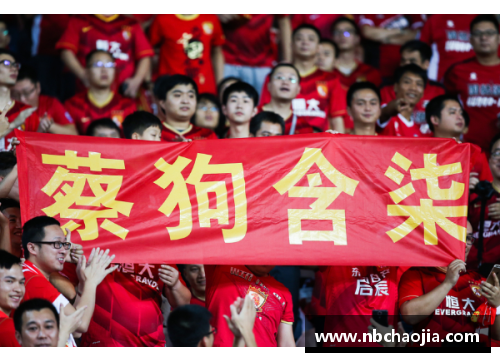 MK体育江苏肯帝亚主场比赛门票售罄，球迷热情助威球队再创辉煌