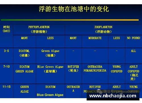 MK体育欧盟预计2023年推出CBAM，力推全球碳减排合作 - 副本